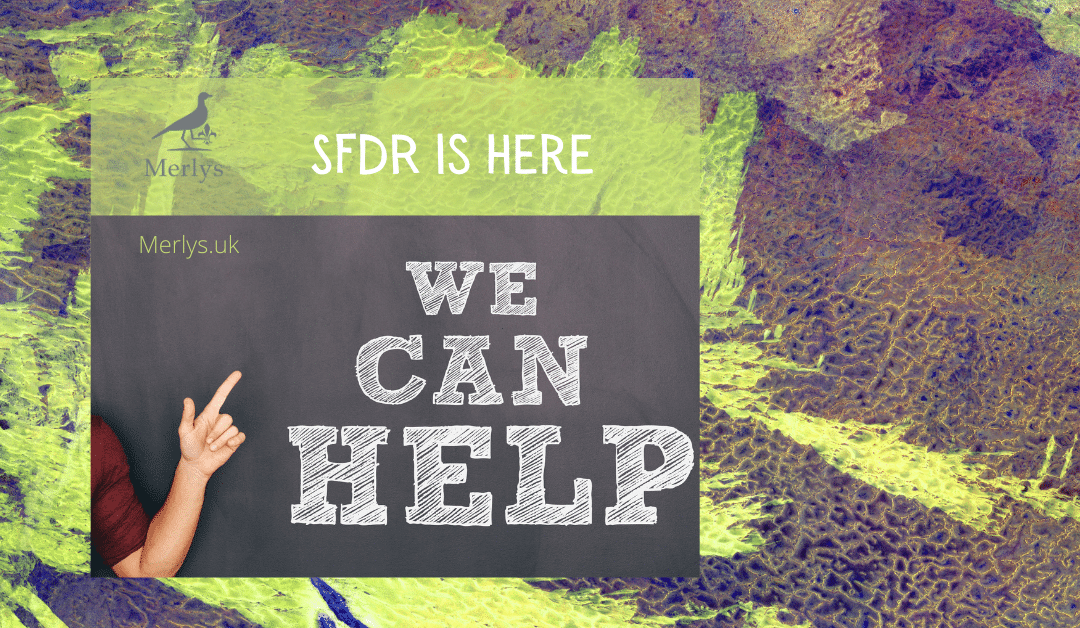 SFDR is here. What now?